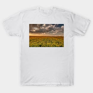 Sunflower Sunset Clouds T-Shirt